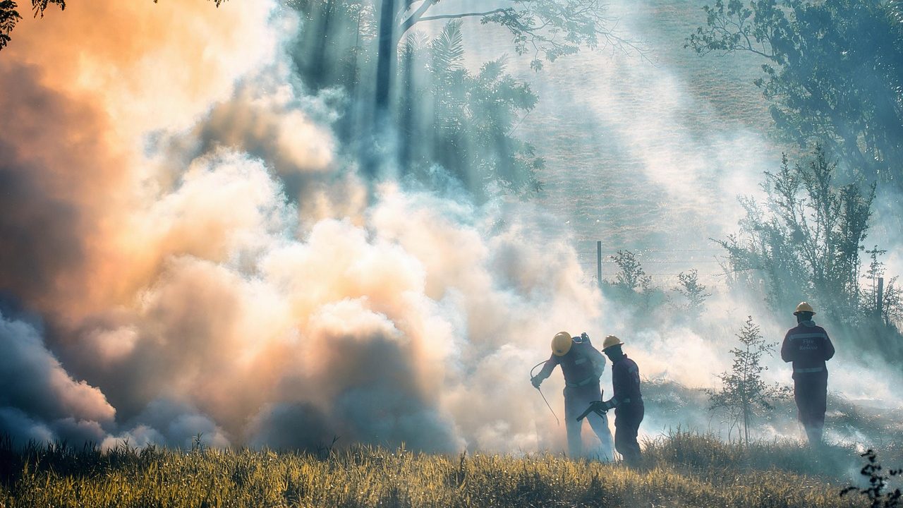 Mengurangi Risiko Kecelakaan di Jembatan dengan Dinas Damkar