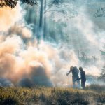 Mengurangi Risiko Kecelakaan di Jembatan dengan Dinas Damkar